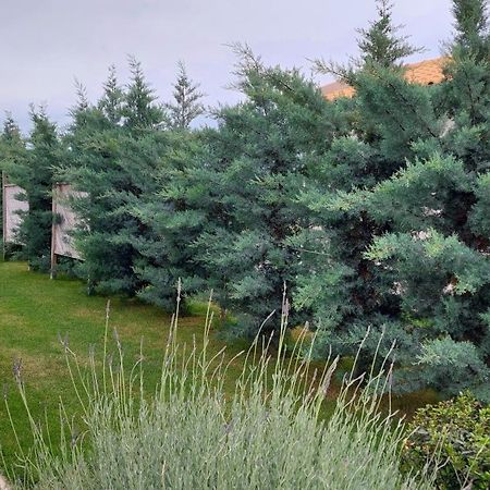 Alekos Beach Houses-Elia Villas Lixouri Dış mekan fotoğraf