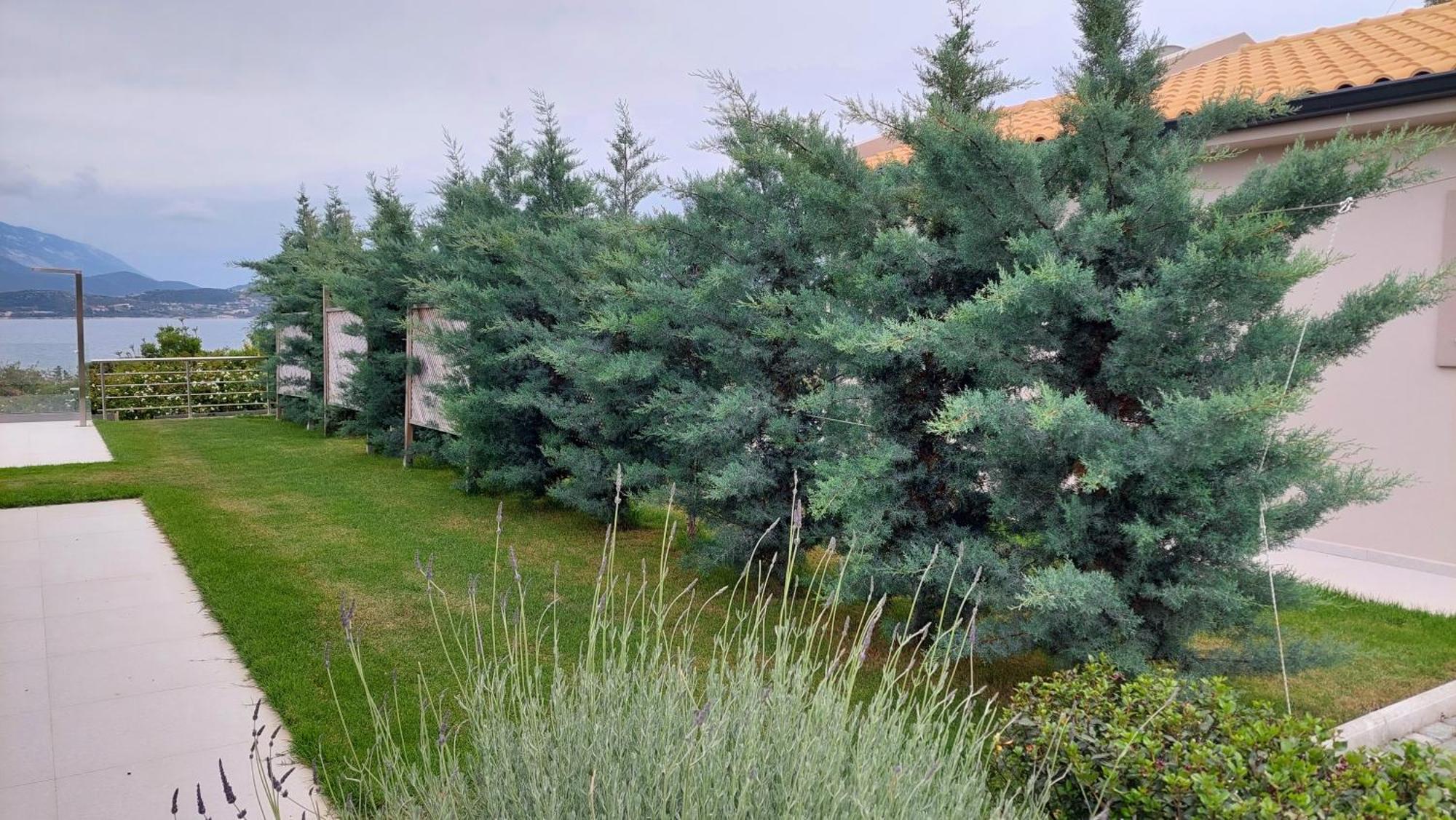 Alekos Beach Houses-Elia Villas Lixouri Dış mekan fotoğraf
